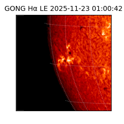 gong - 2025-11-23T01:00:42