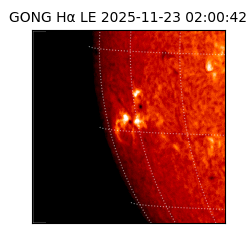 gong - 2025-11-23T02:00:42