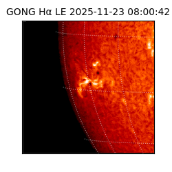 gong - 2025-11-23T08:00:42