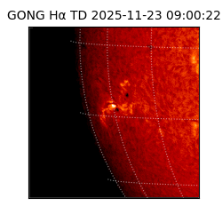 gong - 2025-11-23T09:00:22