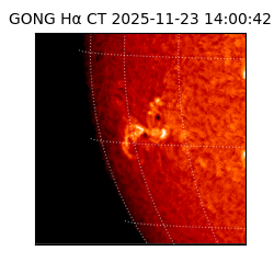 gong - 2025-11-23T14:00:42