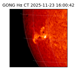 gong - 2025-11-23T16:00:42