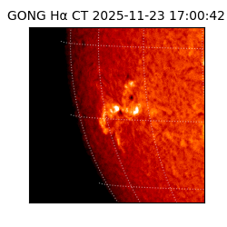gong - 2025-11-23T17:00:42