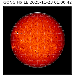 gong - 2025-11-23T01:00:42