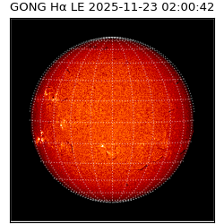 gong - 2025-11-23T02:00:42