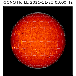 gong - 2025-11-23T03:00:42