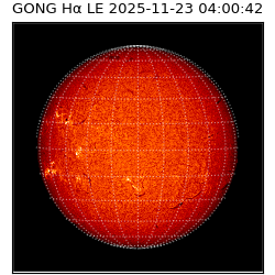 gong - 2025-11-23T04:00:42