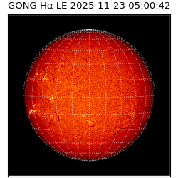 gong - 2025-11-23T05:00:42