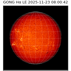 gong - 2025-11-23T08:00:42