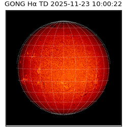 gong - 2025-11-23T10:00:22