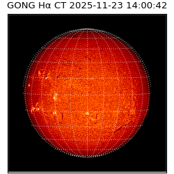 gong - 2025-11-23T14:00:42