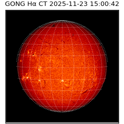 gong - 2025-11-23T15:00:42