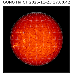 gong - 2025-11-23T17:00:42