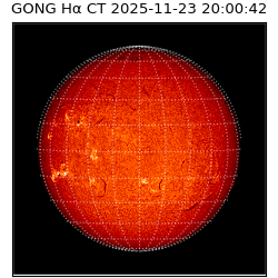 gong - 2025-11-23T20:00:42