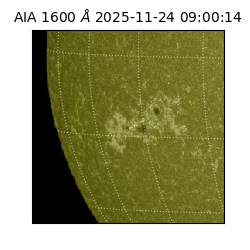 saia - 2025-11-24T09:00:14.126000