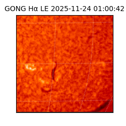 gong - 2025-11-24T01:00:42