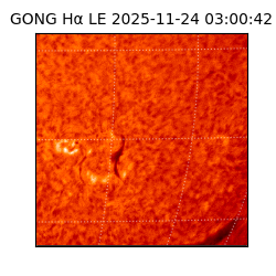 gong - 2025-11-24T03:00:42