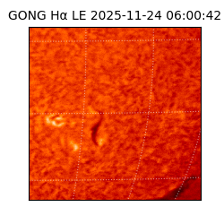 gong - 2025-11-24T06:00:42