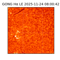 gong - 2025-11-24T08:00:42