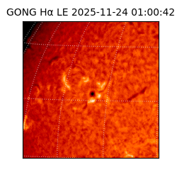 gong - 2025-11-24T01:00:42