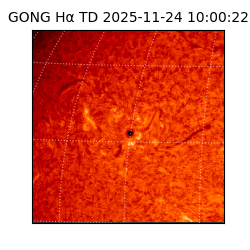 gong - 2025-11-24T10:00:22