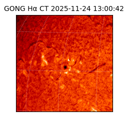 gong - 2025-11-24T13:00:42