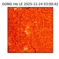 gong - 2025-11-24T03:00:42