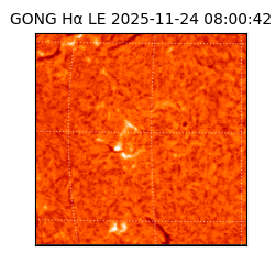 gong - 2025-11-24T08:00:42