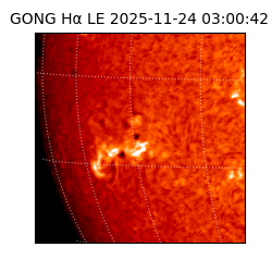 gong - 2025-11-24T03:00:42