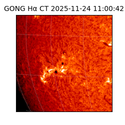 gong - 2025-11-24T11:00:42