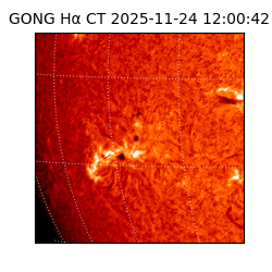 gong - 2025-11-24T12:00:42