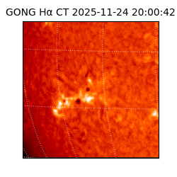 gong - 2025-11-24T20:00:42