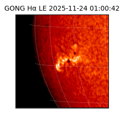 gong - 2025-11-24T01:00:42