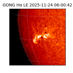 gong - 2025-11-24T06:00:42