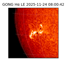 gong - 2025-11-24T08:00:42