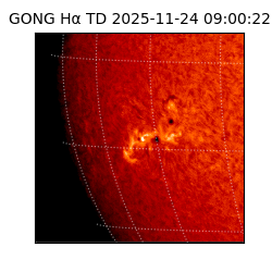 gong - 2025-11-24T09:00:22