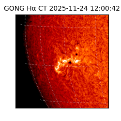gong - 2025-11-24T12:00:42