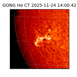 gong - 2025-11-24T14:00:42