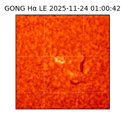 gong - 2025-11-24T01:00:42