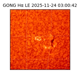 gong - 2025-11-24T03:00:42