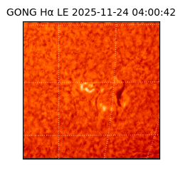 gong - 2025-11-24T04:00:42