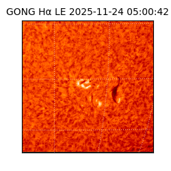 gong - 2025-11-24T05:00:42