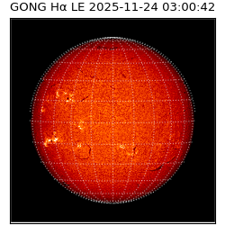 gong - 2025-11-24T03:00:42