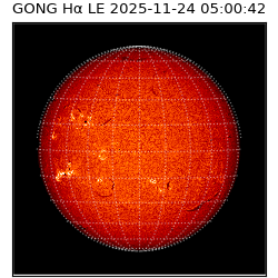 gong - 2025-11-24T05:00:42
