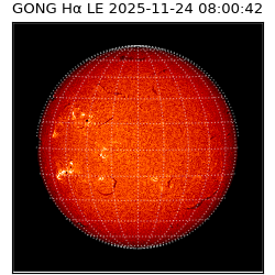 gong - 2025-11-24T08:00:42