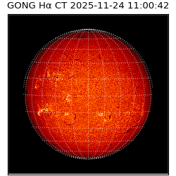 gong - 2025-11-24T11:00:42