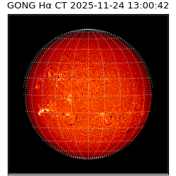 gong - 2025-11-24T13:00:42