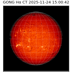 gong - 2025-11-24T15:00:42