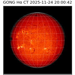 gong - 2025-11-24T20:00:42