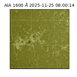 saia - 2025-11-25T08:00:14.126000